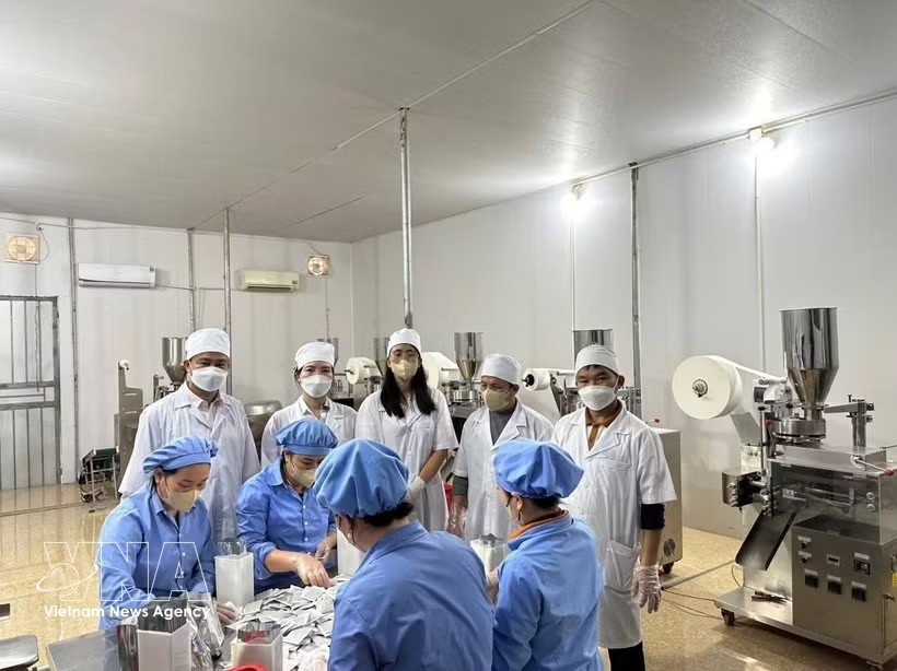 蒲末药料股份公司专家和人员。