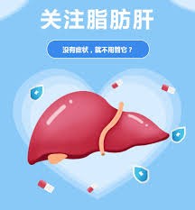 脂肪肝非小事 无症状也要早干预