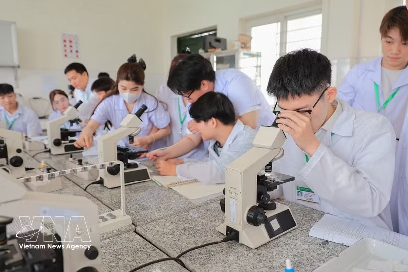 学生利用光学显微镜进行血细胞观察与计数实习，为动物临床诊断提供服务。 
