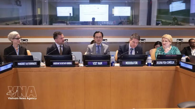 越南常驻联合国代表团团长杜雄越大使主持座谈会。