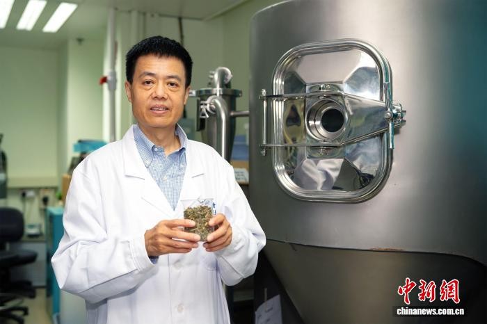 6月15日，香港浸会大学公布，该校中医药学院研究团队成功从爵床属中药植物中提取出抗病毒活性成分，可有效抑制多种引起人畜共患疾病的病毒。(香港浸会大学供图) 