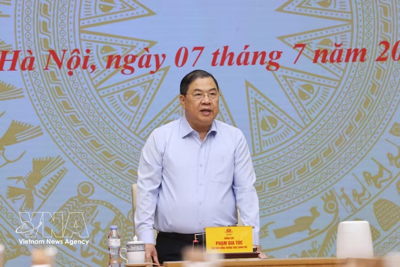 政府常务副总理、国家打击走私、商业诈骗和假冒商品指委会（389号国家指委会）主任范家足。图源：越通社