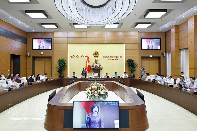 国会主席副主席阮氏红在会议上发表讲话。