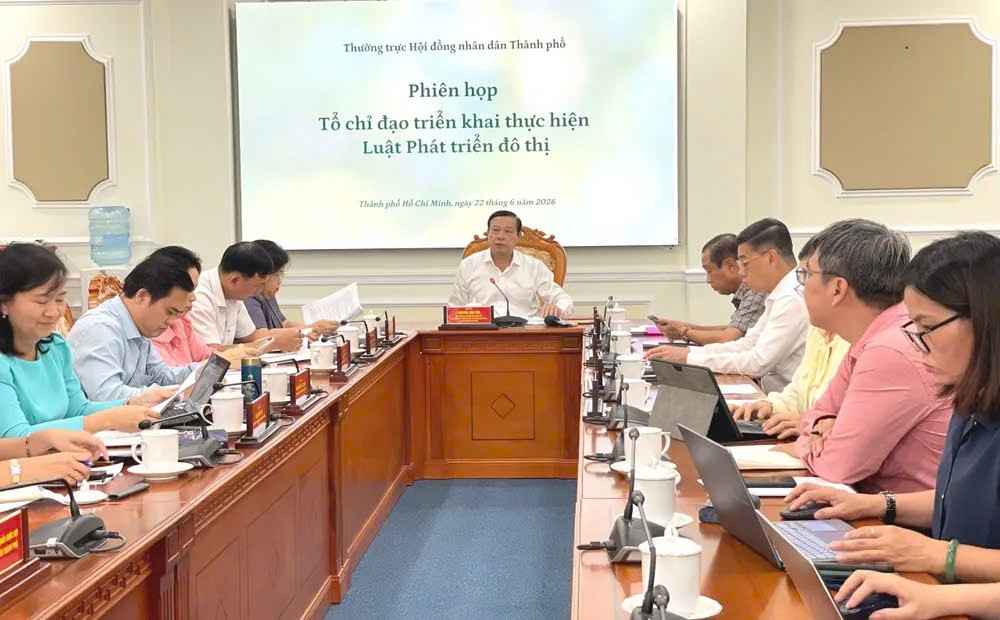 胡志明市人民议会常务副主席阮文寿主持会议。