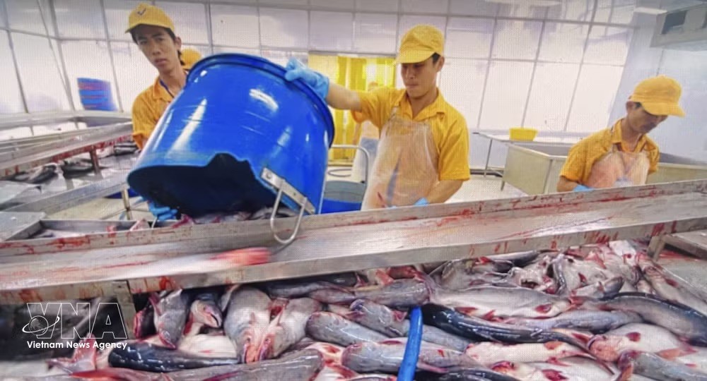 potal-cptpp-la-khoi-thi-truong-nhap-khau-nhieu-ca-tra-thu-2-cua-viet-nam-trong-thang-12025-7880151.jpeg