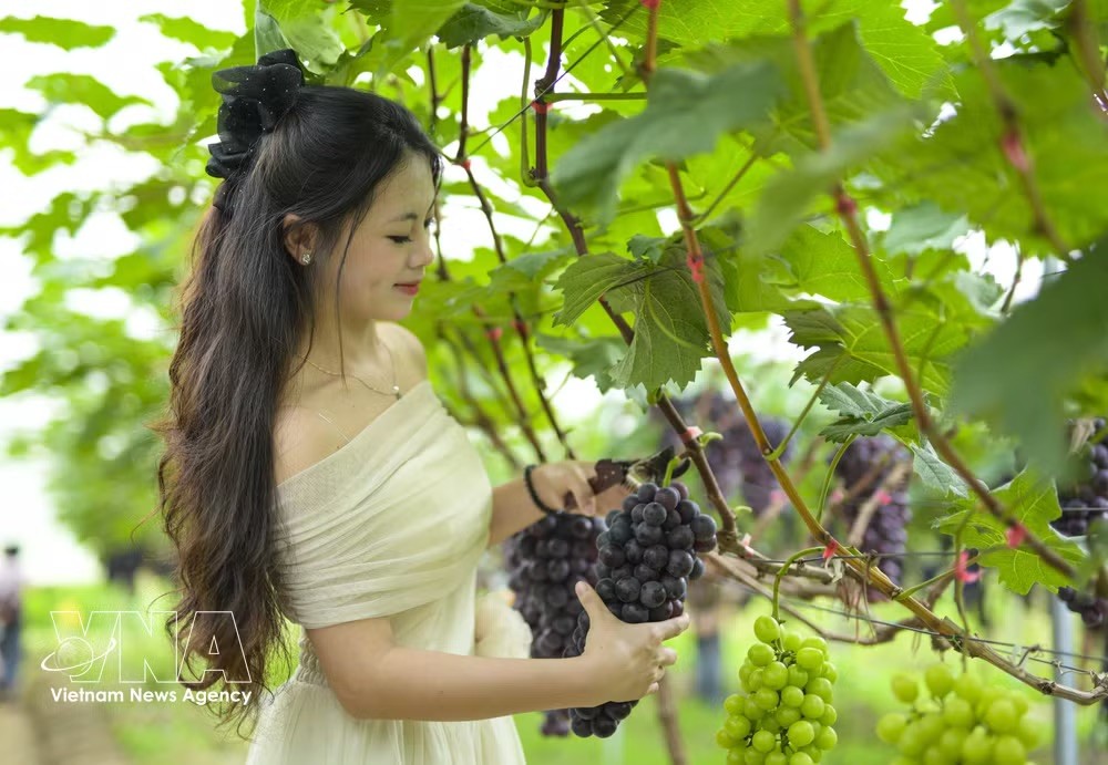 potal-dien-bien-du-lich-xanh-tu-nhung-vuon-nho-tren-dat-muong-phang-8819503.jpeg