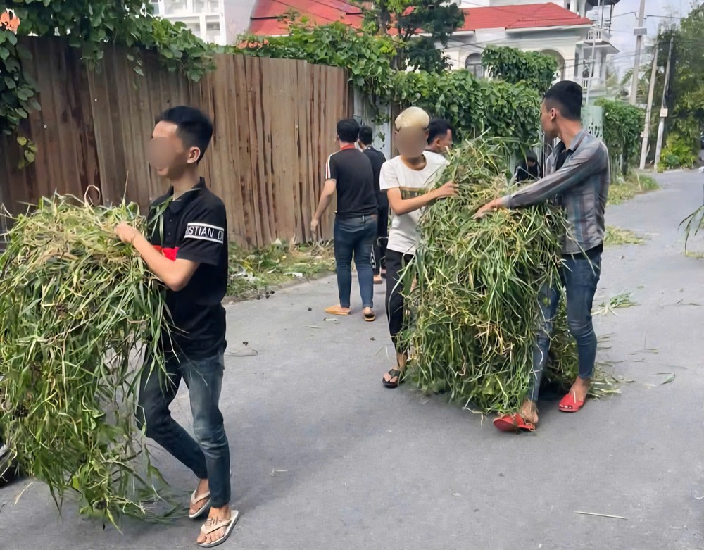 一群青少年在上街狂欢时做出过激行为后清扫街道。 