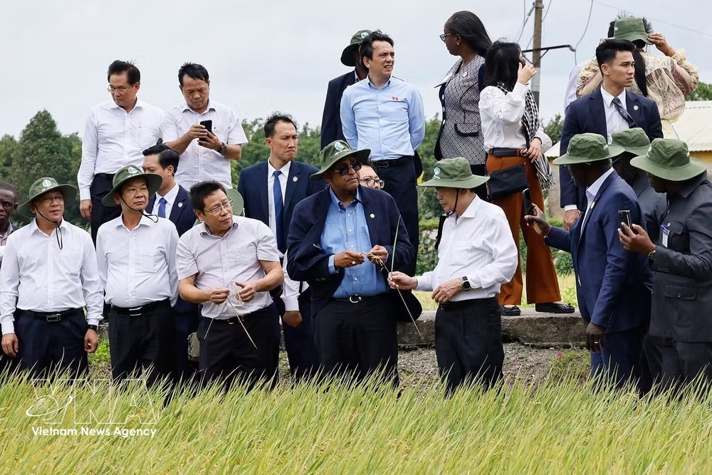 potal-hai-chu-tich-quoc-hoi-viet-nam-va-cote-divoire-tham-canh-dong-lua-trien-vong-o-can-tho-8980067.jpeg