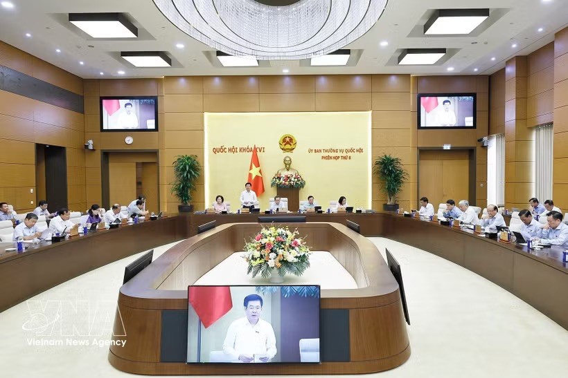 国会副主席阮鸿延发表讲话。