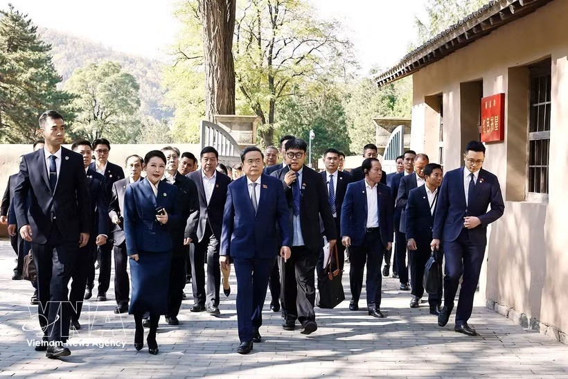 国会主席陈青敏和越南高级代表团参观枣园革命旧址书记处会议室。