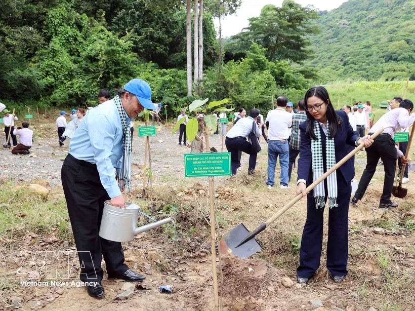 胡志明市各友好组织联合会（HUFO）领导在昆岛特区“友谊树林”植树。