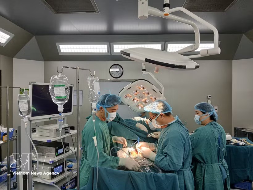 越南医疗在器官移植、心脏介入、机器人手术、胎儿心脏介入、辅助生殖和癌症治疗等诸多高新技术领域日益确立专业能力。