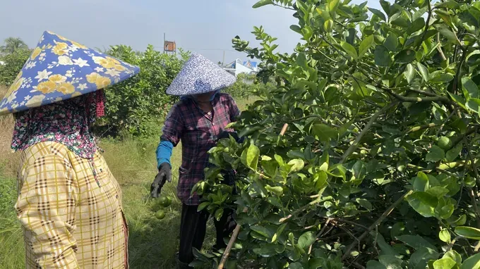 南部地区进入旱季时，降雨将减少，阳光增多。示意图：福厚