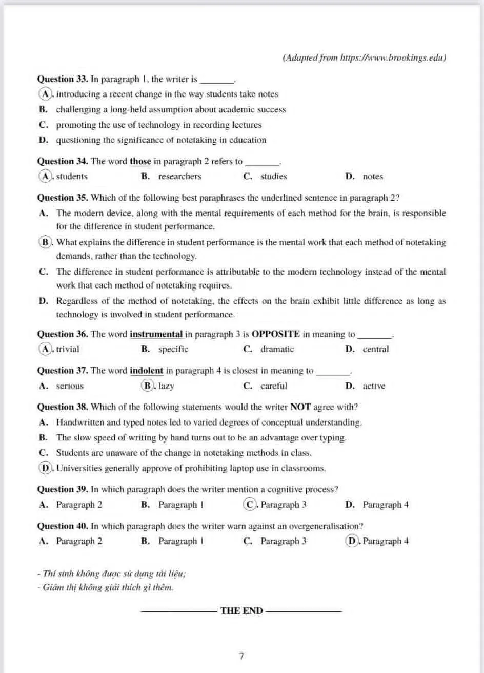AV7.jpg