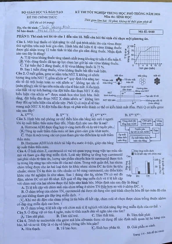 Sinh 1.jpg