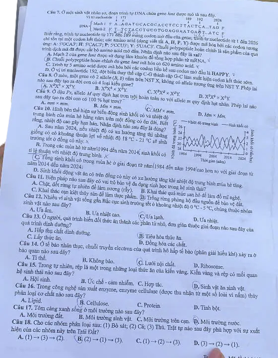 Sinh 2.png