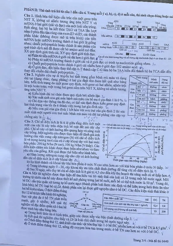 Sinh 3.jpg