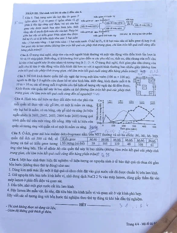 Sinh 4.jpg