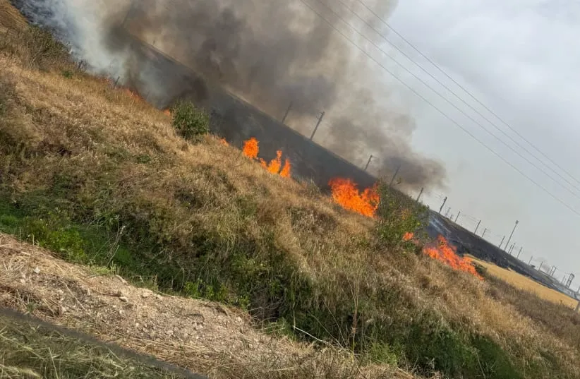  Cháy rừng tại Israel. Ảnh: ISRAEL FIRE AND RESCUE AUTHORITY