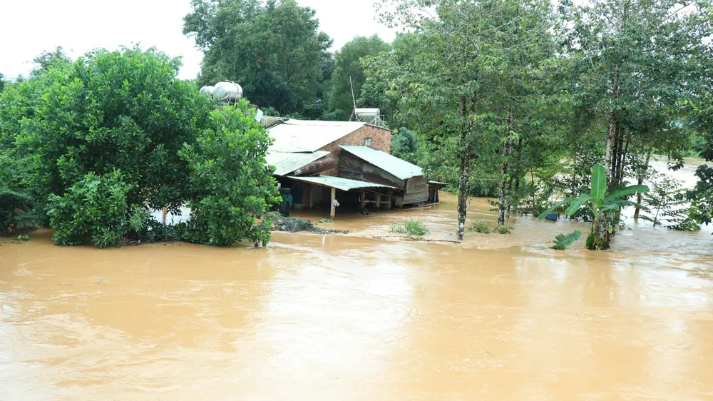 Một nhà dân ở xã Tân Phước, huyện Đồng Phú bị ngập sâu chiều ngày 3-10 Một nhà dân ở xã Tân Phước, huyện Đồng Phú bị ngập sâu chiều ngày 3-10