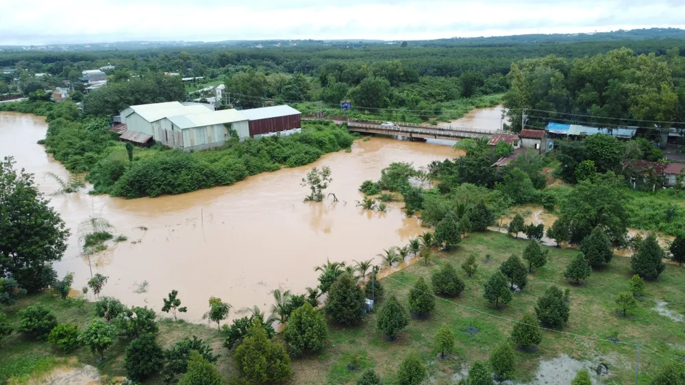 Nước suối Sạt khu vực huyện Đồng Phú và TP Đồng Xoài dâng cao gây ngập úng sâu cục bộ nhiều nơi Nước suối Sạt khu vực huyện Đồng Phú và TP Đồng Xoài dâng cao gây ngập úng sâu cục bộ nhiều nơi