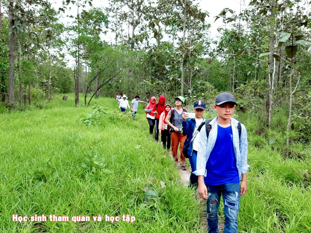 Trải nghiệm khám phá rừng nguyên sinh