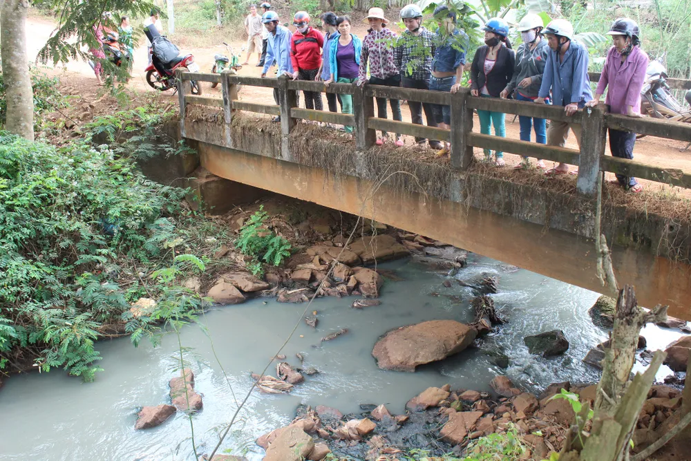 Nguồn nước con suối Làng Chín bị ô nhiễm nghiêm trọng do chất thải bẩn từ Công ty TNHH cao su Thuận Lợi thải ra. ảnh CHÍ PHONG (2).JPG