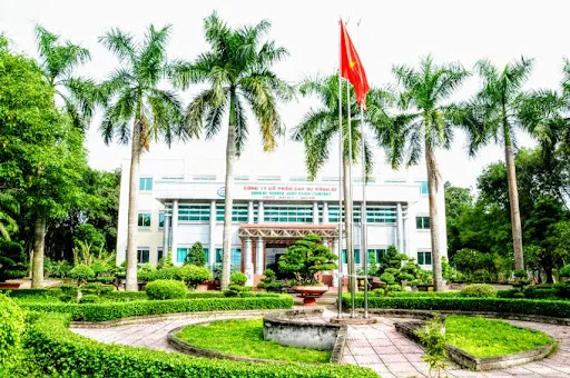 Công ty Cao su Sông Bé bị xử phạt hơn 137 triệu đồng do công bố thông tin sai lệch