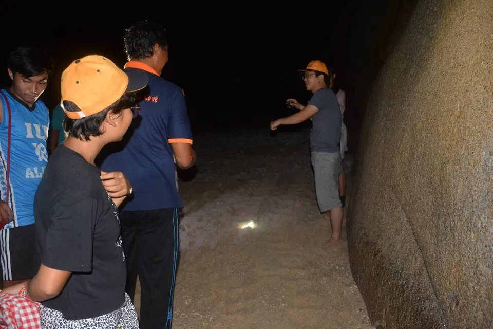 Bảo vệ thành công con rùa biển nặng trên 100kg ảnh 2