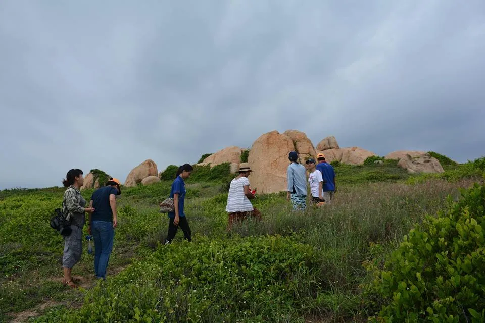 Bảo vệ thành công con rùa biển nặng trên 100kg ảnh 1