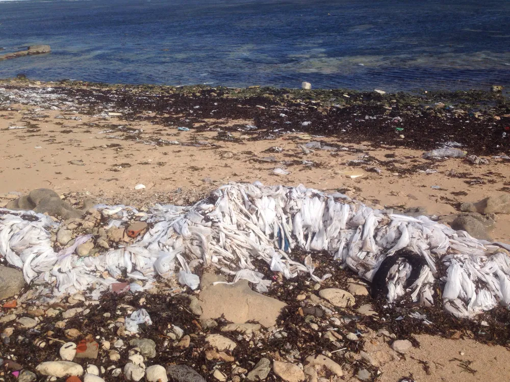 VIDEO: Khuyến cáo người dân không sử dụng hàng lạ trôi dạt vào đảo Phú Quý ảnh 4