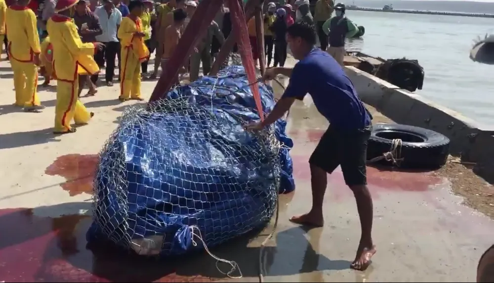 Dùng cần cẩu đưa cá ông nặng trên 2 tấn lên bờ mai táng ảnh 2