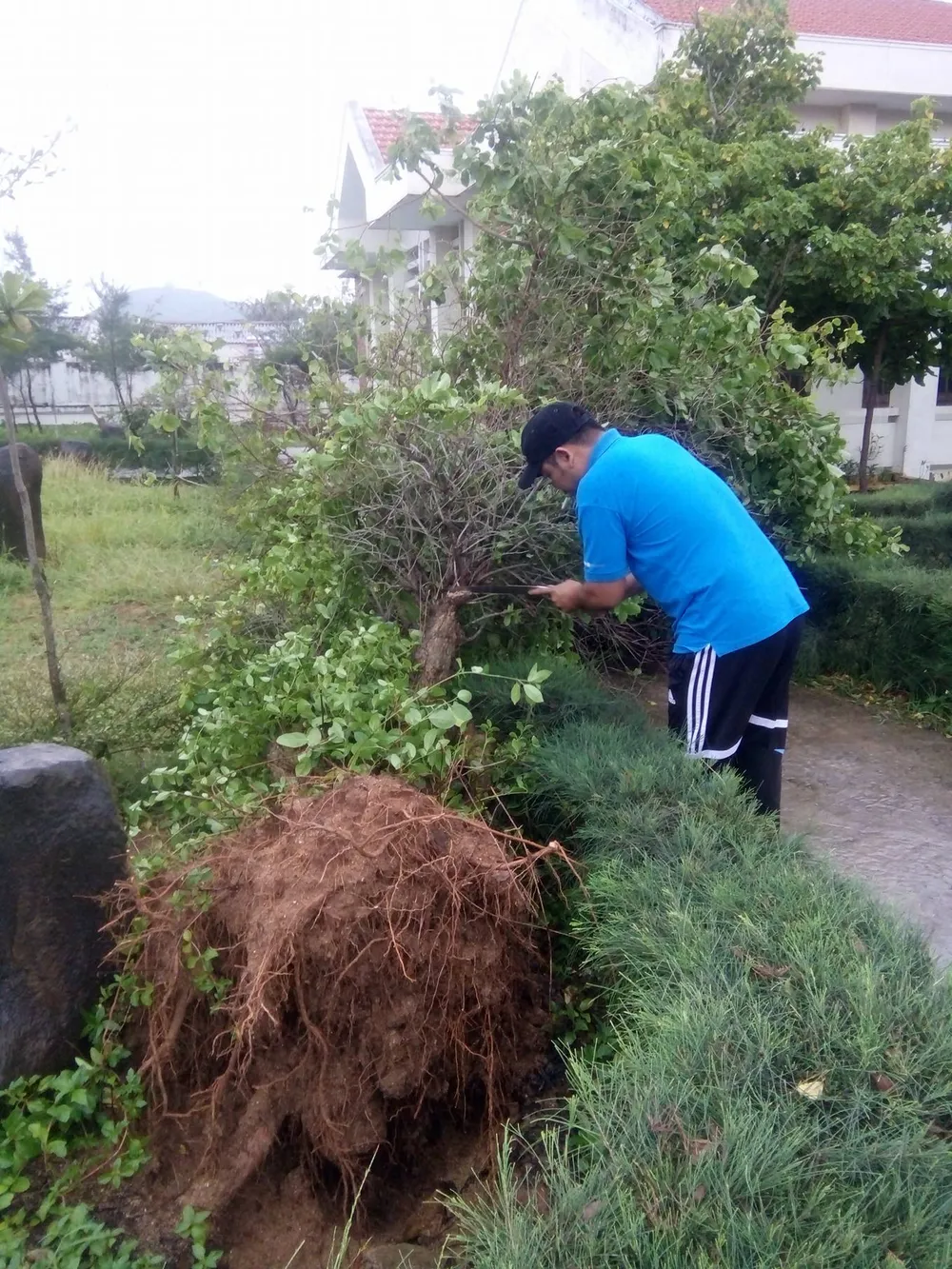 Đảo Phú Quý ngổn ngang sau trận lốc xoáy  ảnh 4