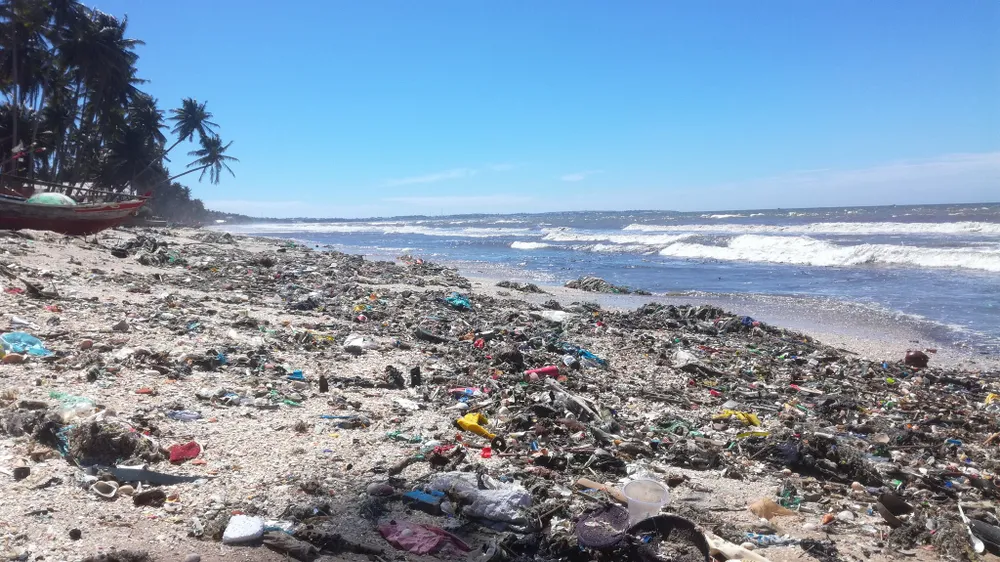 Rác thải vẫn ngập biển Mũi Né ảnh 3