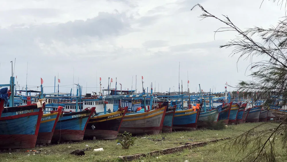  Người dân đảo Phú Quý căng mình chống bão số 9 sắp đổ bộ ảnh 4