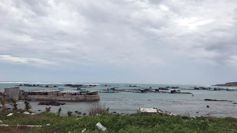  Người dân đảo Phú Quý căng mình chống bão số 9 sắp đổ bộ ảnh 1