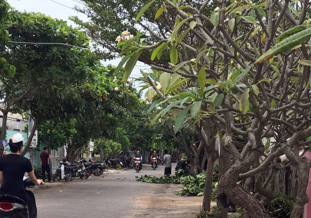  Người dân đảo Phú Quý căng mình chống bão số 9 sắp đổ bộ ảnh 2