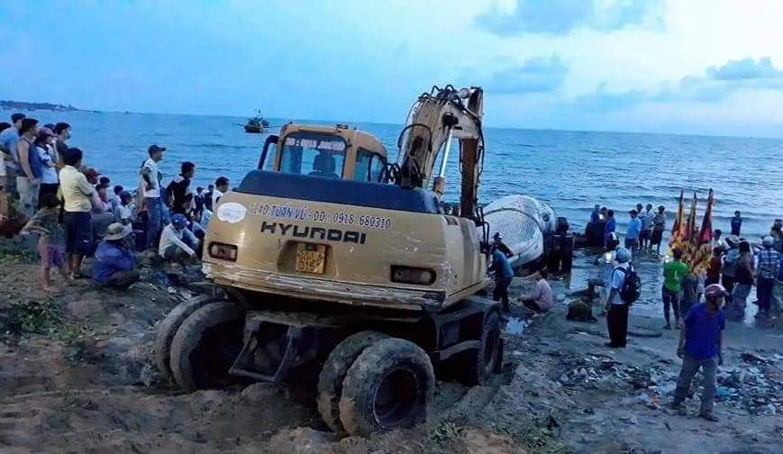 Chưa thể đưa cá ông khổng lồ “lụy” trên biển đi mai táng ảnh 2