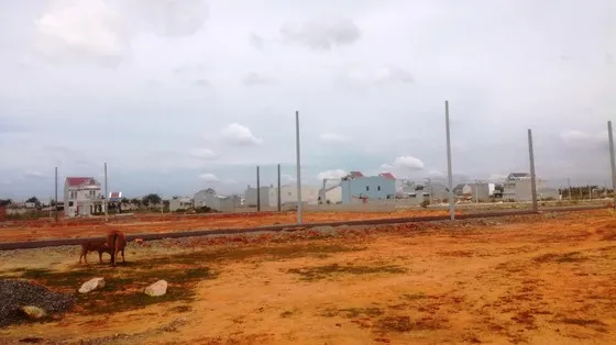 Khởi tố, bắt tạm giam Phó Chủ tịch UBND TP Phan Thiết ảnh 1