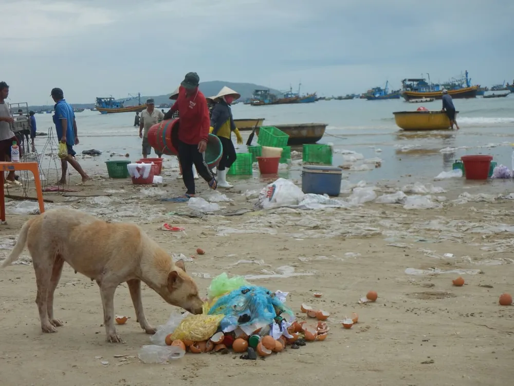 Ô nhiễm nghiêm trọng ở bãi Sau biển Mũi Né ảnh 6