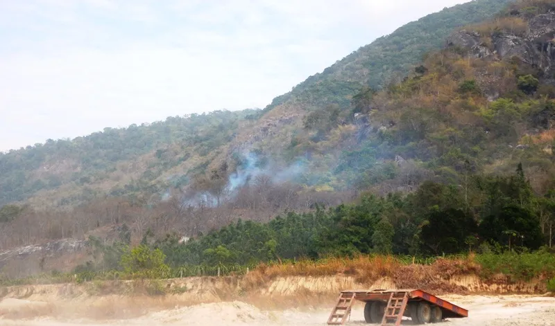 Cháy rừng tại Khu bảo tồn thiên nhiên Tà Cú ảnh 4