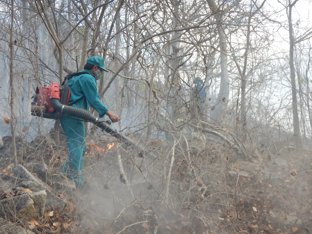 Cháy rừng tại Khu bảo tồn thiên nhiên Tà Cú ảnh 3