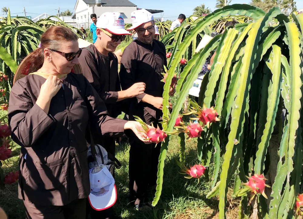 “Ngạc nhiên” khi đến Mũi Né ảnh 2