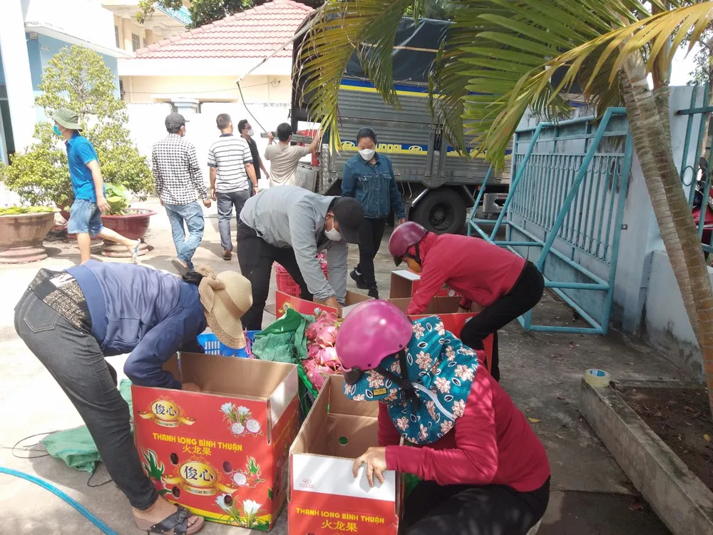 Bình Thuận đưa nước mắm, cá khô, thanh long,.. đến người dân TPHCM và tỉnh Bình Dương ảnh 3