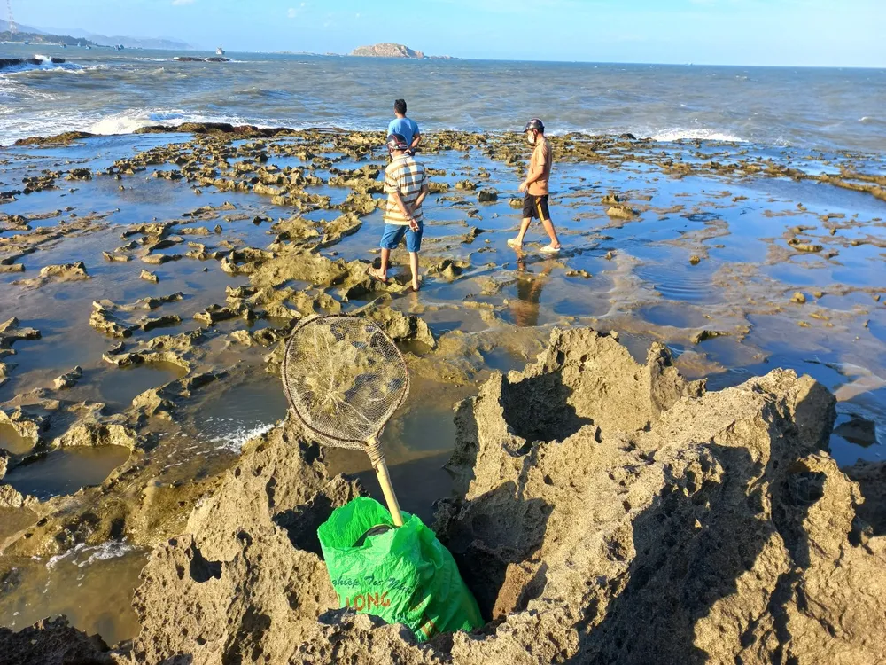 Tìm thấy thi thể 2 thanh niên ở Ninh Thuận đi câu cá bị rơi xuống biển ảnh 1