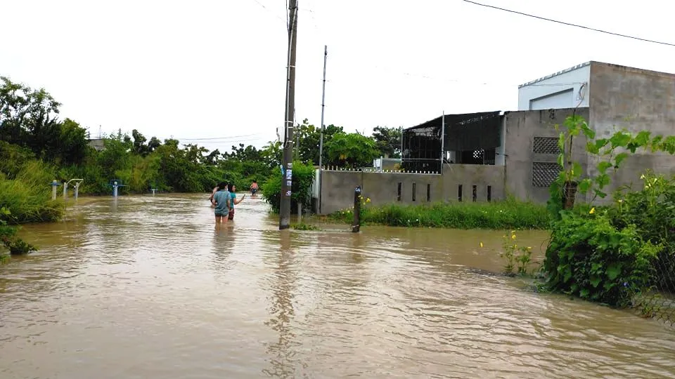 Mưa lớn gây sạt lở 2.000m đường giao thông, hàng trăm hécta hoa màu bị ngập úng  ảnh 3