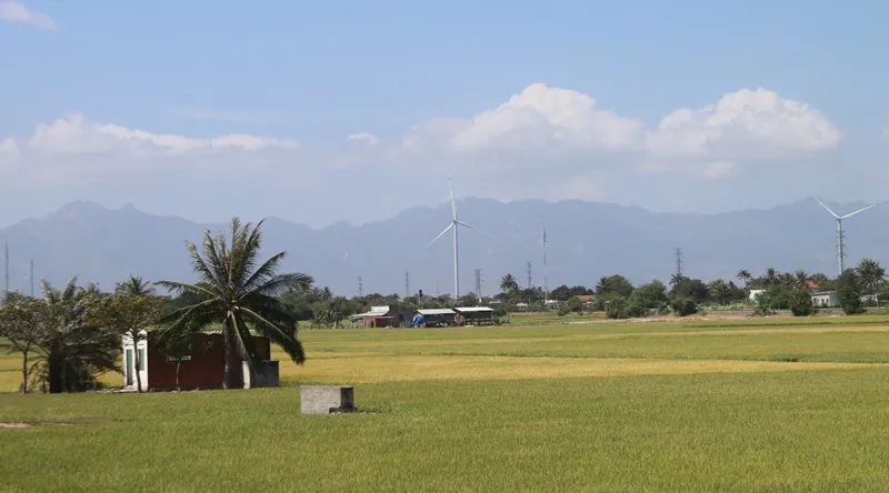 Ninh Thuận mở cửa đón khách du lịch ảnh 2