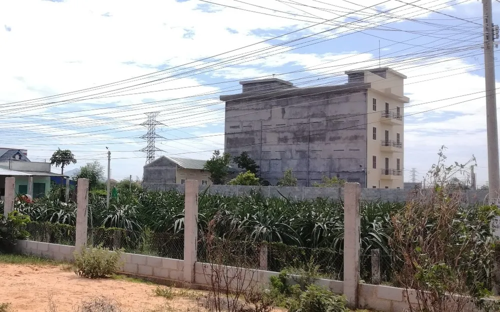 Tính đến nay, tỉnh Bình Thuận có khoảng 1.425 cơ sở dẫn dụ và nuôi chim yến