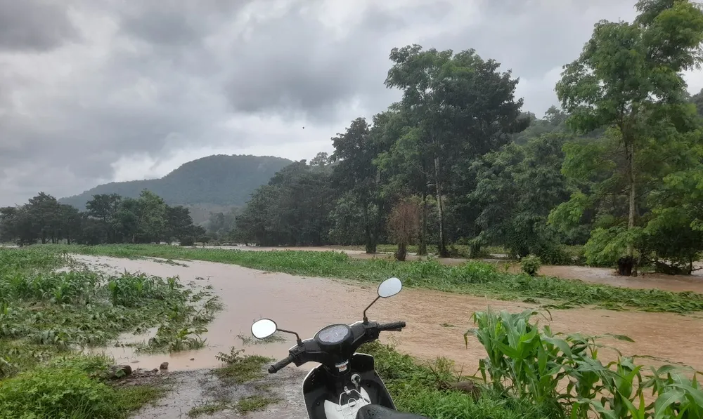 Nước lũ tràn về khiến nhiều nơi của tỉnh Bình Thuận bị ngập và thiệt hại cây trồng