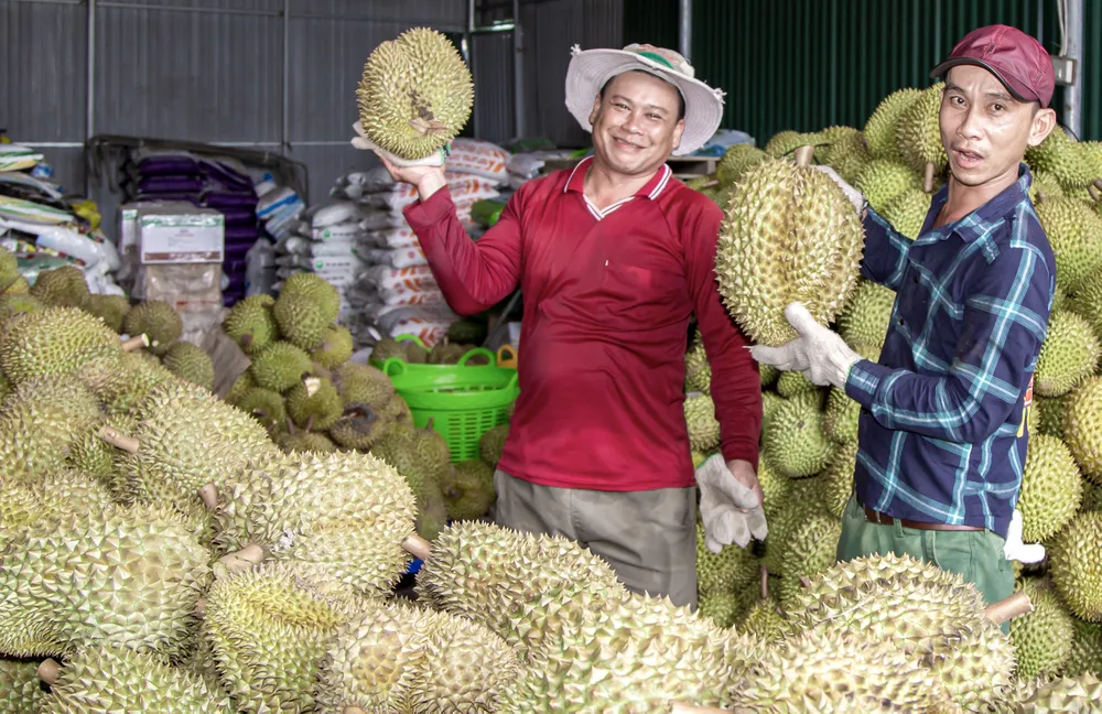 Nông dân Khánh Hòa phấn khởi vì giá sầu riêng lần đầu “lập đỉnh” ảnh 1 Nông dân Khánh Hòa phấn khởi vì giá sầu riêng lần đầu “lập đỉnh” ảnh 1